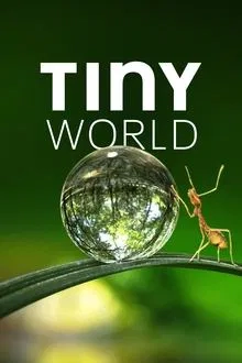 Tiny World saison 1