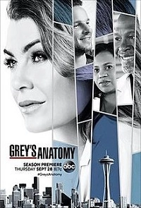 Grey's Anatomy saison 14