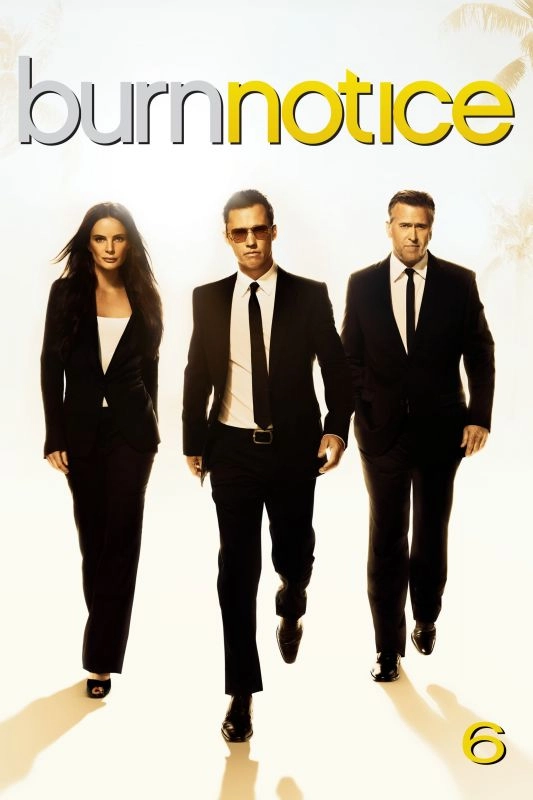 Burn Notice saison 6