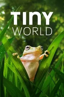 Tiny World saison 2